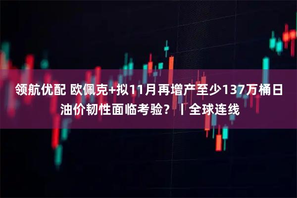 领航优配 欧佩克+拟11月再增产至少137万桶日 油价韧性面临考验？丨全球连线