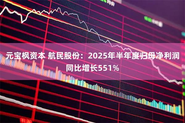 元宝枫资本 航民股份：2025年半年度归母净利润同比增长551%