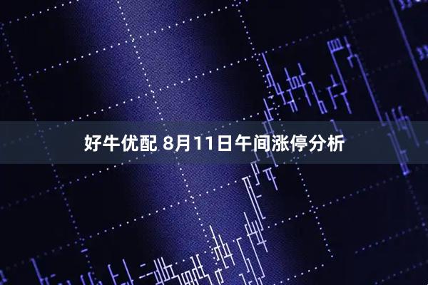 好牛优配 8月11日午间涨停分析