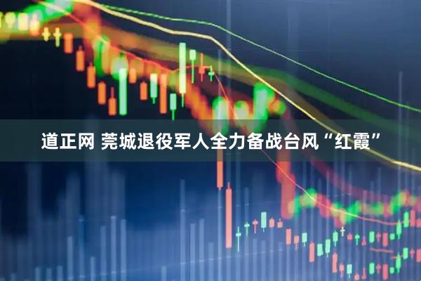 道正网 莞城退役军人全力备战台风“红霞”